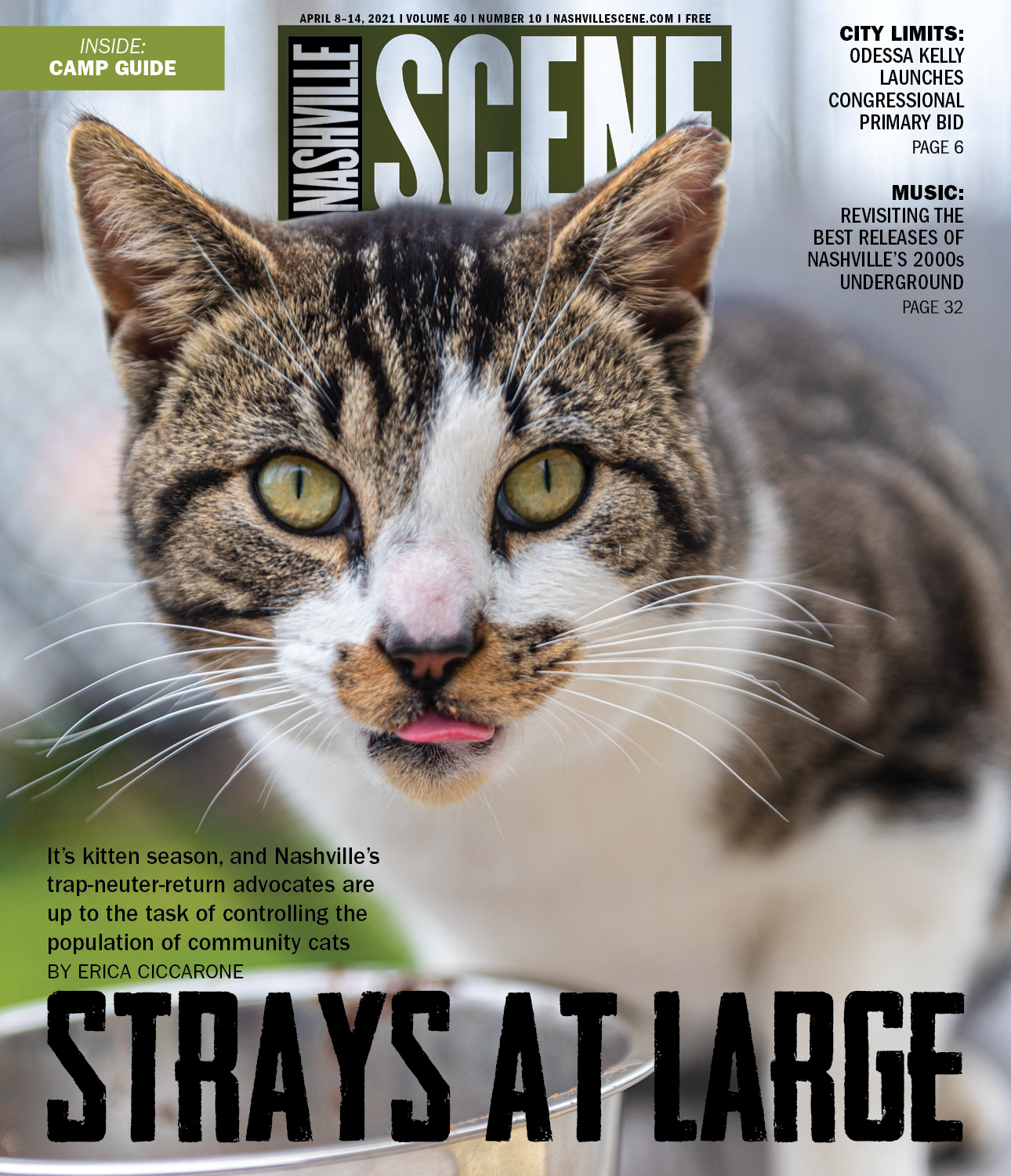 Strays at Large: Meet the People Stemming the Tide of Nashville’s Free-Roaming Cats
